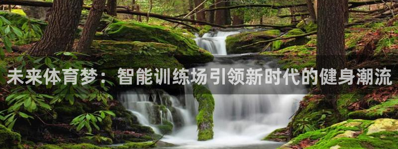 JJB竞技宝官网下载平台假的吗是真的吗吗:未来体育梦:智能训