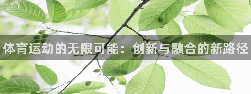 JJB竞技宝官网下载是干嘛的公司:体育运动的无限可能:创新与