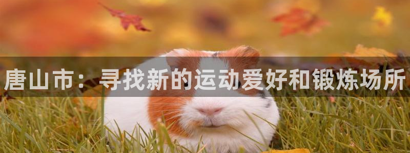 JJB竞技宝官网下载平台假的吗是真的吗:唐山市:寻找新的运动