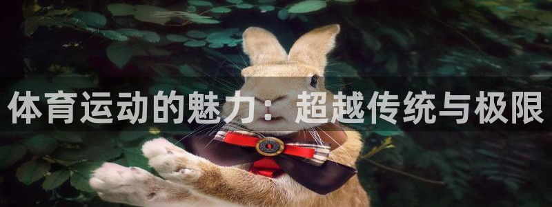 JJB竞技宝官网下载是干嘛的公司:体育运动的魅力:超越传统与